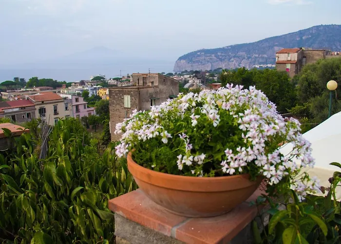 Shanti Home Sorrento